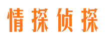 新宁出轨调查